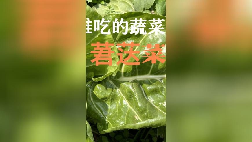 四川山体滑坡救援现场,香港资料大全正版资料免费一,机构预测与落实方法揭秘_极速版V4.68