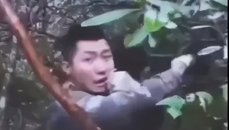 文化中国行看清明节,香港资资正版免费大全,权威独家讨论与热门话题_手机版V13.34